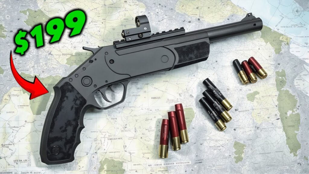 10 Surprisingly Good Guns That Are EXTREMELY Cheap!