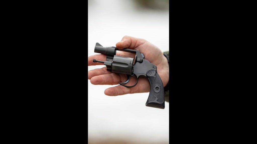 Would you want one for your collection? (Fitz Special)